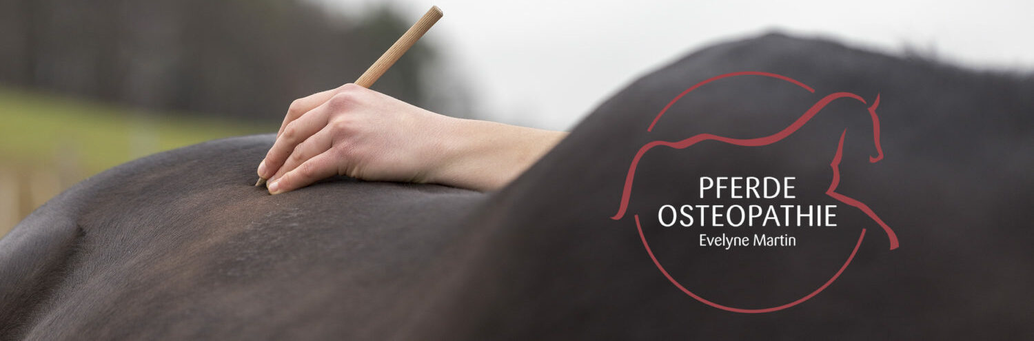 Pferdeosteopathie Martin